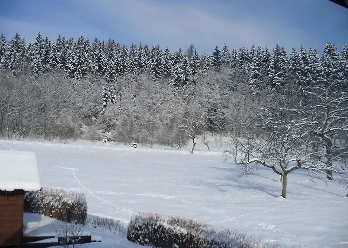 In 2471 Rokytnice nad Jizerou